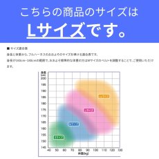 画像12: 安全帯 フルハーネス 本体のみ タイタン(TITAN) 高所 作業用 墜落制止用器具 イージーハーネス クロス CRH-10C型 Lサイズ  (12)