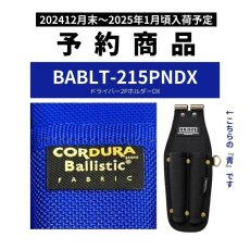 画像1: 予約販売 ニックス 腰道具 KNICKS BABLT-215PNDX チタンプレート入り EVA コーデュラ バリスティック生地 ドライバー2Pホルダー 【青・ブルー】 (1)