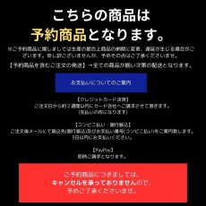 画像2: 予約販売 ニックス 腰道具 KNICKS BART-401PLNDX チタンプレート入り EVA コーデュラ バリスティック生地 ペンチ ドライバー 4P 【赤・レッド】 (2)